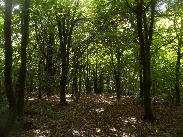 Keele University — Keele University campus